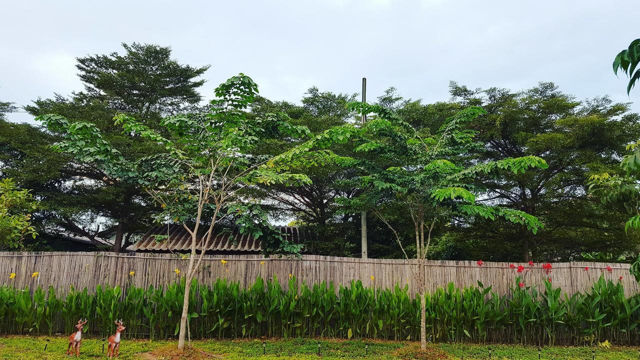 Ban Nong Pla Kho บ้านสวนมีดี ลำพูน Meedee Homestay Lamphun מראה חיצוני תמונה