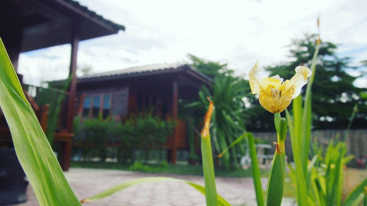 Ban Nong Pla Kho บ้านสวนมีดี ลำพูน Meedee Homestay Lamphun מראה חיצוני תמונה