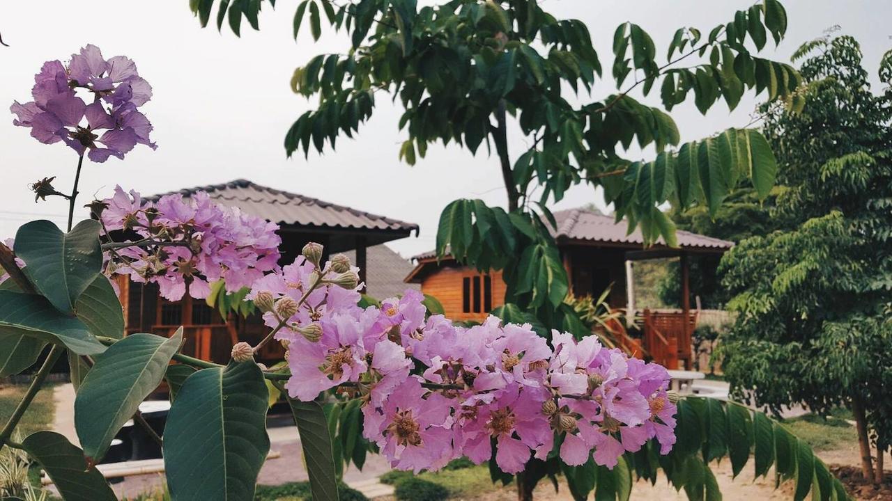 Ban Nong Pla Kho บ้านสวนมีดี ลำพูน Meedee Homestay Lamphun מראה חיצוני תמונה